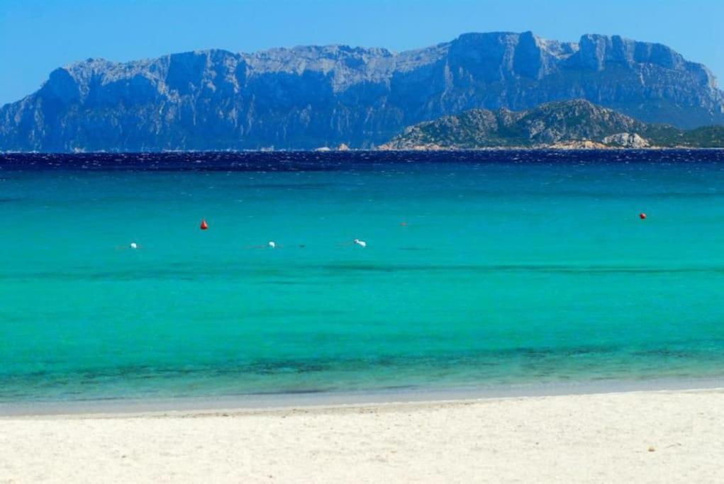 Sardegna Casa A 250 Metri Dal Mare Con Piscina Apartment Olbia Exterior photo